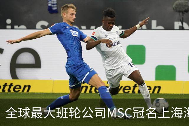 全球最大班轮公司MSC冠名上海海港足球俱乐部“比赛日”！航运企业投资体育IP的背后到底在下一盘什么大棋？